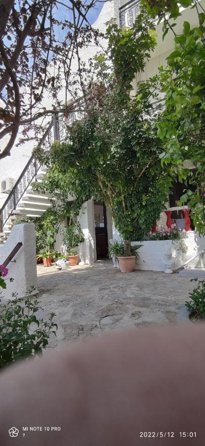 Odysseas Hotel Samos Extérieur photo