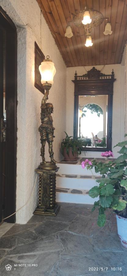 Odysseas Hotel Samos Extérieur photo