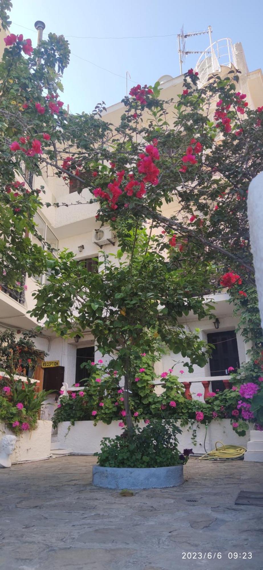 Odysseas Hotel Samos Extérieur photo